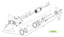 Set koolborstels en pakkingen Maxxum en Traxxis 24 Volt voor 65 en 70 Lbs Set koolborstels en pakkingen Maxxum en Traxxis 24 Volt voor 65 en 70 Lbs