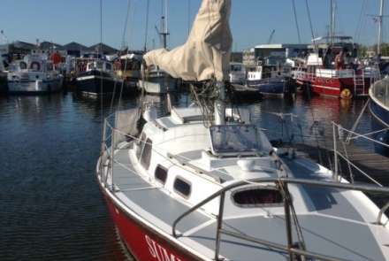 Commander 31